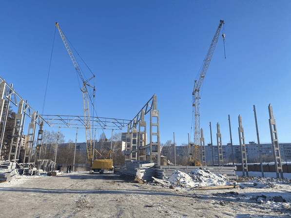 Гусеничный кран РДК 250